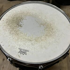 Pearl Standard Maple 6 PLY MAPLE SHELL スネアの画像4