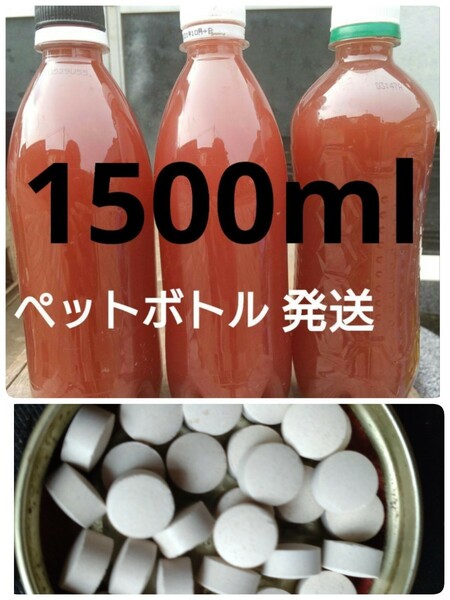 PSB（光合成細菌）1500ml ＆　エビオス30錠 (の出品です。バクテリア メダカ らんちゅう金魚 熱帯魚 ゾウリムシ　グリーンウォーター 