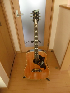 ノーブランド　アコースティックギター　DOVEモデル