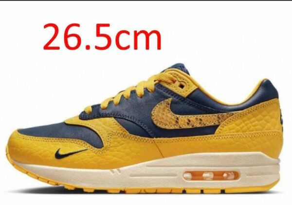 NIKE WMNS AIR MAX 1 PRM "CO JP"