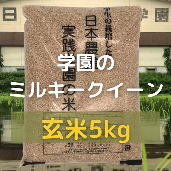 農業学校の学生と作ったミルキークイーン5kg玄米　令和5年産