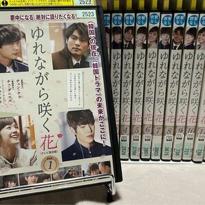 韓国ドラマ「ゆれながら咲く花」 DVD全巻セット【1〜12巻】 レンタル落ち ケース有り