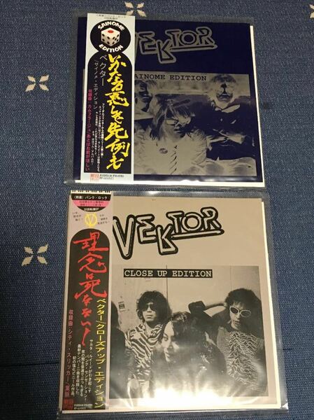 送料無料！入手困難！VEKTOR 7インチレコード ２枚セット売り ベクター パンク