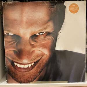 96.UK-ORIGINAL LP Aphex Twin / Richard D.James Album Warp LP43 TECHNO名盤
