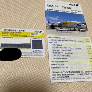 ANA グループ 株主優待券 2024年5月31日まで