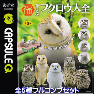 カプセルQ 福をよぶ フクロウ大全 2023 海洋堂 【全５種フルコンプセット】 CAPSULE Q Fortune Owl 梟 グッズ フィギュア ガチャ No.92807