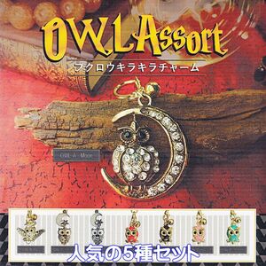 OWL Assort フクロウキラキラチャーム クリエイション・コム 【人気の５種セット】 梟 グッズ 不苦労 縁起物 ガチャガチャ [No.95361]