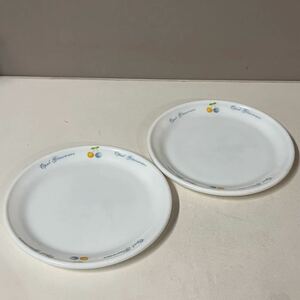 ガラス食器 耐熱ガラス 強化ガラス プレート お皿 2枚セット