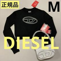 洗練されたデザイン　DIESEL　ディーゼル　スウェット　F-SLIMMY-E3　ブラック　M　A06545 0GRAC　正規品_画像1