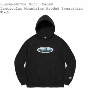 Supreme / The North Face Lenticular Mountains Hooded Sweatshirt 