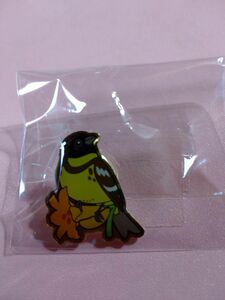 野鳥の会　ピンバッジ　シマアオジ