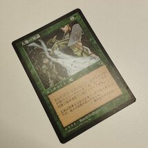 sC622o [人気] MTG 大地の知識 Earthcraft テンペスト TMP 日本語版_画像5