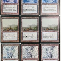 sB598o [まとめ] MTG アイスエイジ ICE 土地 カープルーザンの森 Karplusan Forest 低木林地 Brushland Glacial Chasm 各3枚 計9枚_画像4