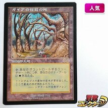 sB381s [人気] MTG ガイアの揺籃の地 Gaea's Cradle ウルザズ・サーガ USG 日本語版_画像1