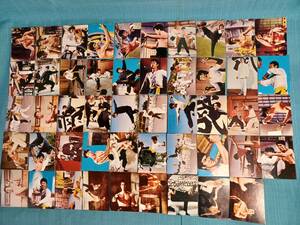 ブルース・リー ドラゴン カード 49枚 アルバム2冊 セット 山勝 ケンリック TOWA F20-11-4FEB24