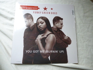 Funky Green Dogs / You Got Me (Burnin' Up) シュリンク付 超アグレッシヴ TRIBAL HOUSE 12 Olav Basoski Main Mix 収録　試聴