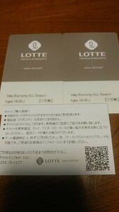 ロッテアライ　スキー場　リフト券　ペア　エコノミー　2枚　lotte arai 　信越　妙高