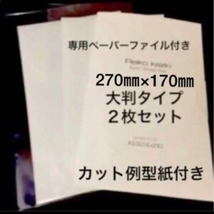 かづきれいこ デザインテープ 大判タイプ２枚　　　　　★通常サイズ約８枚分★使用説明・カット例型紙・専用ペーパーファイル付