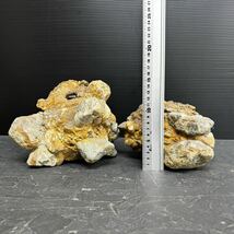 2個セット 美濃の壺石 岐阜県土岐産 天然記念物 つぼ石 総重量約5.65kg 盆石 さざれ石 水石 鑑賞石 天然石 鉱物 鉱石 パワーストーン 壷石_画像3