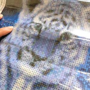 ダイヤモンドアート キット 24.5センチ四方 小虎ちゃん ブルーシック