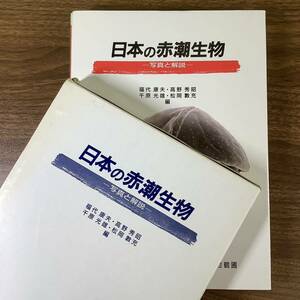 2KO30《日本の赤潮生物―写真と解説 福代康夫》函付き 内田老鶴圃 1995年発行 美本 生物学 微生物学 現状品 定価13390円