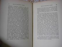 One of Cleopatra's nights and other fantastic romances、Lafcadio Hearn 1899年 クレオパトラの夜とその他の素晴らしいロマンス D15_画像7