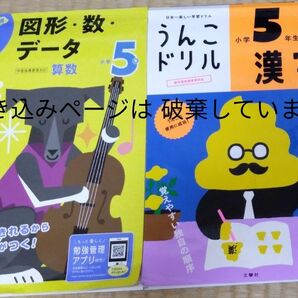 毎日のドリル　学研　図形・数・データ　算数　5年生　うんこドリル　漢字　国語　文響社　いずれも途中ページまで