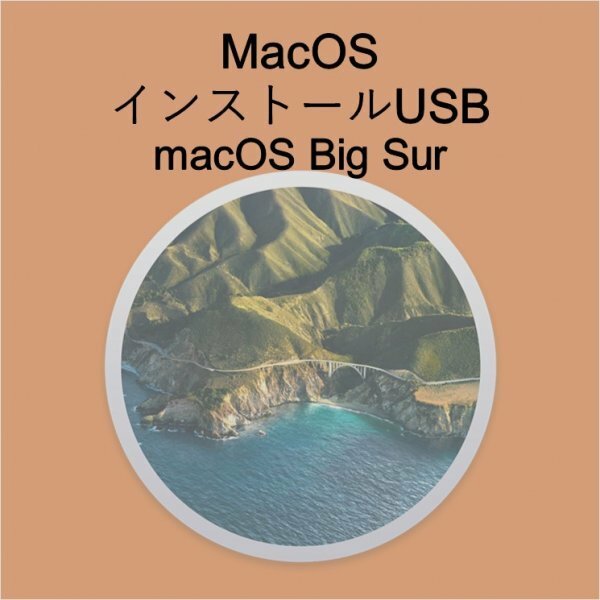 (v11) macOS Big Surインストール用USB [2]