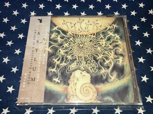 ASYLUM『AWAKE IN A REVISITED WORLD』廃盤美品 (アサイラム)