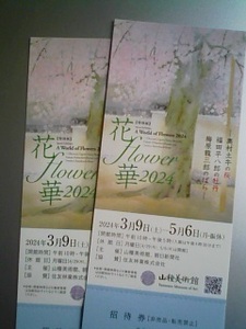 花・flower・華 2024 　招待券２枚セット　奥村土牛の桜・福田平八郎の牡丹・梅原龍三郎のばら