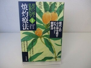 現代人の心と体を癒すビワキュー健康法 (現代に甦る仏教医学―焼灼療法) b0602-da4-ba256373