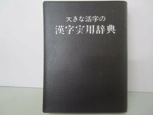 大きな活字の漢字実用辞典 b0602-db2-nn257378