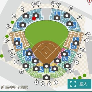 4月11日　甲子園　阪神対広島　大人チケット2枚