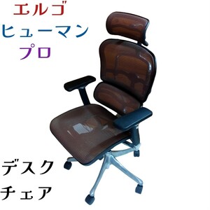 エルゴヒューマンプロ デスクチェア オフィス 家具 インテリア メッシュ ヘッドレスト