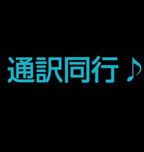 通訳同行♪ 英語→日本語　日本語→英語　ネイティブイングリッシュ話者が同行サポートします！金額交渉　デュオリンゴ110 企業商談