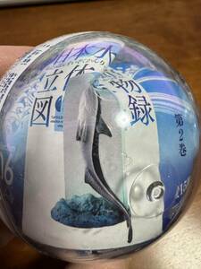 日本水族館 立体生物図録 コバンザメ