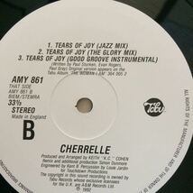 12’ Cherrelle-Tears Of Joy_画像3