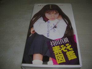 素モモ図鑑　持田真樹　浜崎あゆみ　鈴木亜沙美　品番:SHVB-2021　1995年発行　35分　中古ビデオ