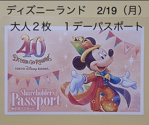 ディズニーランド ２月１９日　月曜日　開園から入園　 大人２枚　ペアチケット　美女と野獣　 ベイマックス　2/19（月）１デーパスポート