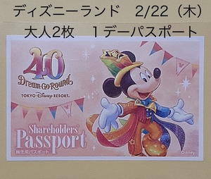 ディズニーランド ２月２２日　木曜日　開園から入園　 大人２枚　ペアチケット　美女と野獣　 ベイマックス　2/22（木）１デーパスポート