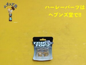 B23066J【新品】TRIKTOPZ製.ナンバーボルト&バルブキャップ パン.ショベル.エボ.TC.FXR.ダイナ.ソフテイル.スポーツ.ツーリング.ハーレー