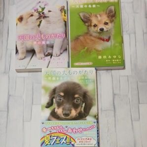 天国の犬ものがたり３冊