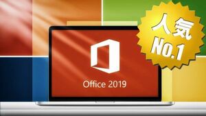 Microsoft Office 2019 Professional Plus 正規日本語版 + 永続 + インストール完了までサポート + 再インストール可能 + PDF　マニュアル