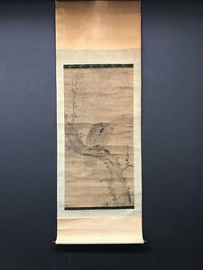 Art hand Auction [Копия] [Один свет] vg6702 Орел на сливовом дереве Китайская живопись Подпись, рисование, Японская живопись, цветы и птицы, птицы и звери
