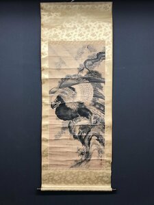 Art hand Auction [Kopie] [Ein Licht] vg7221(Takayama Hoen)Falcon Chinesische Malerei, Malerei, Japanische Malerei, Blumen und Vögel, Vögel und Tiere