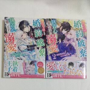 悪役令嬢として婚約破棄されたところ、執着心強めな第二王子が溺愛してきました。 ベリーズファンタジースイート　ぷにちゃん／著