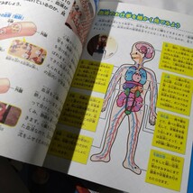 はたらく細胞2冊セット　からだのしくみを学べる・人体のふしぎ図鑑　感染症を正しく学べる・ウイルス＆細菌図鑑　学習　児童書　_画像3