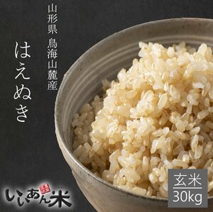 山形県庄内産　『はえぬき』　玄米30kg　慣行栽培米　いいあん米　産地直送　令和５年産　送料無料　米　お米　人気　大容量　