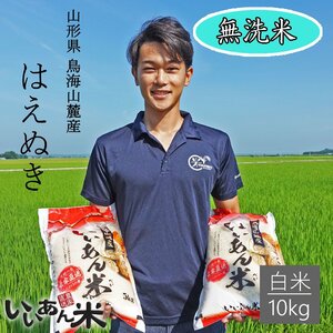 山形県庄内産　『はえぬき』　無洗米１０ｋｇ(５ｋｇ２袋)　慣行栽培米　いいあん米　令和５年産　産地直送　送料無料！！　米　お米　人気