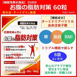 【機能性表示食品】DUEN お腹の脂肪対策 60粒 (15～30日分) 6袋